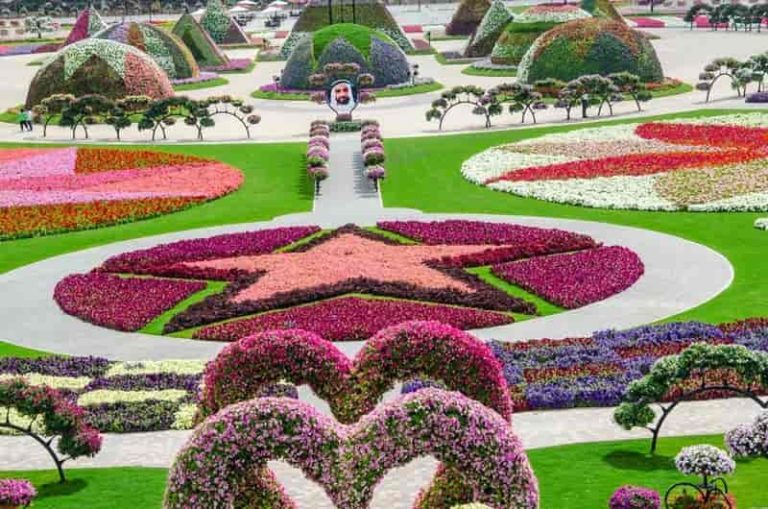 Miracle Garden, Dubai - A Top Tourist Destination