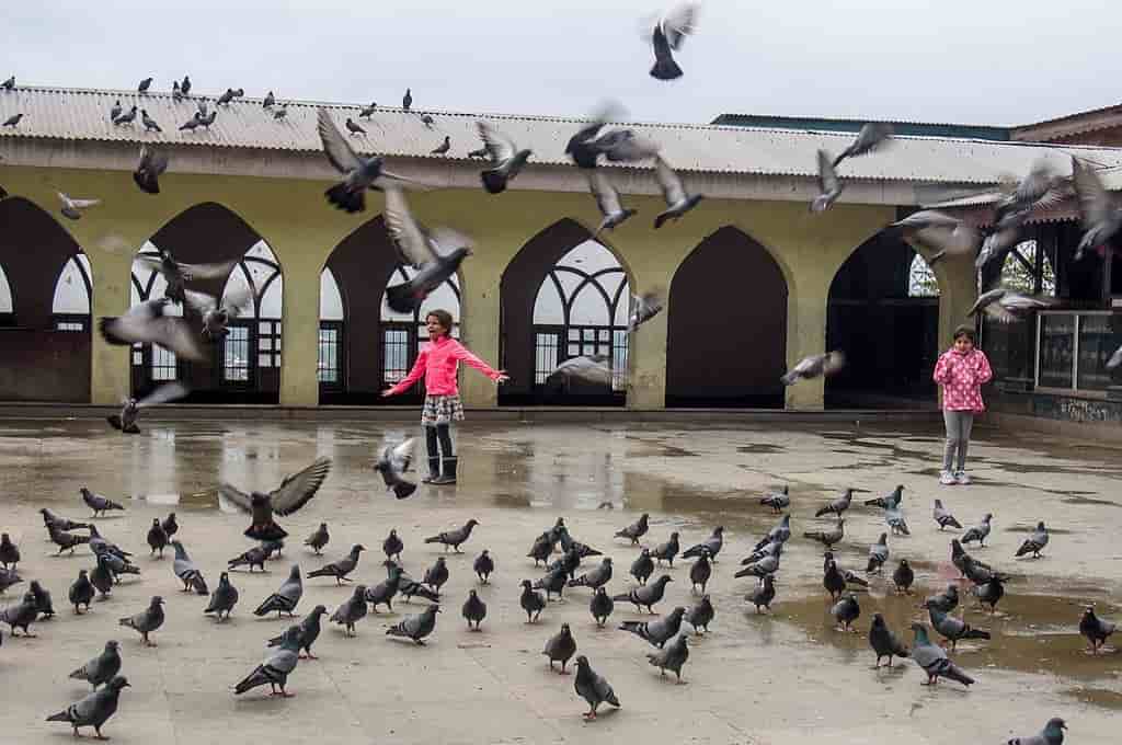 srinagar me tourist places