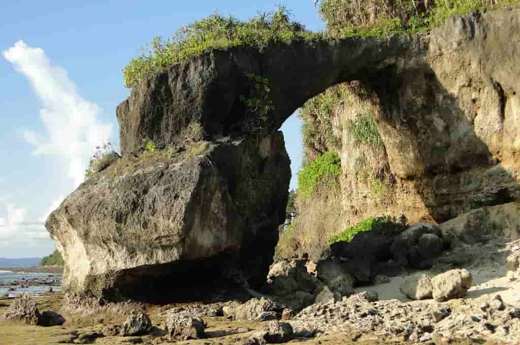 andaman tour guide