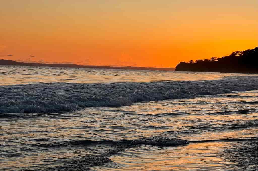 andaman tour guide