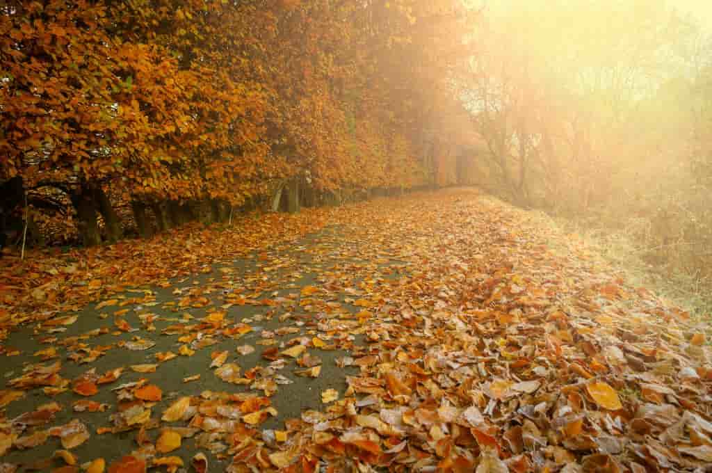 10 Best Places to Visit in Autumn - Take Off With Me