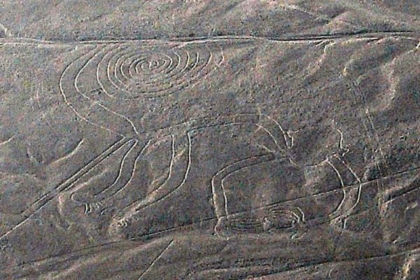 2663863680_4f8b68625b_c-min Nazca Lines in Peru –